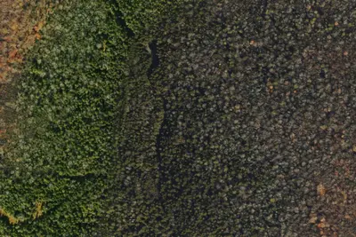 Camp site
