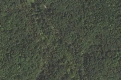 Camp site