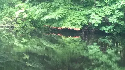 Art-Reflect