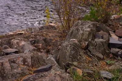 Rocks (1583956051)