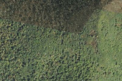 Silers Bald Shelter