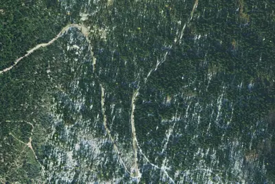 Fs Road 2667 (Roman Nose Access)