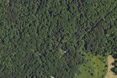 Camp site