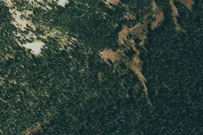 Camp site