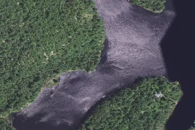 Everett Lake Site 1