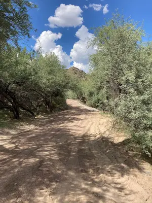 Shores Recreation Site connector road, looking west (54966342520)
