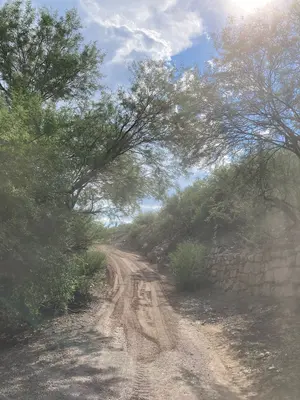 Shores Recreation Site connector road, looking east (54966293004)