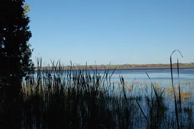 Ken Reid Conservation Area - panoramio