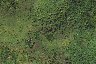 Camp site
