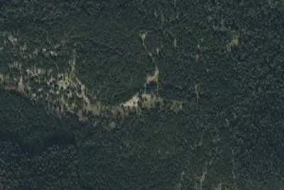 Bear Fork Road-012