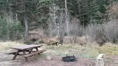 Fire Pit
