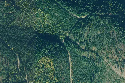 Rd 1912 Site 1