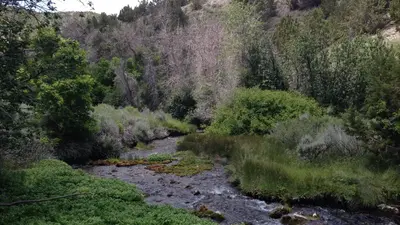 Clover Springs Campground