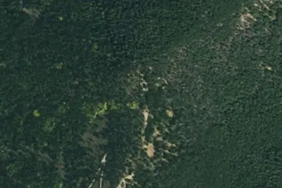 Camp site