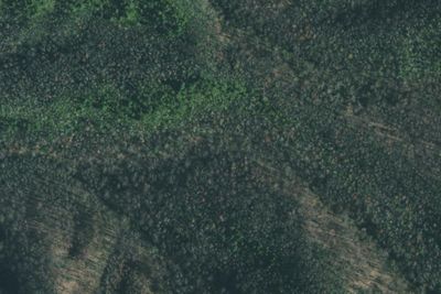Gilliland Creek #35