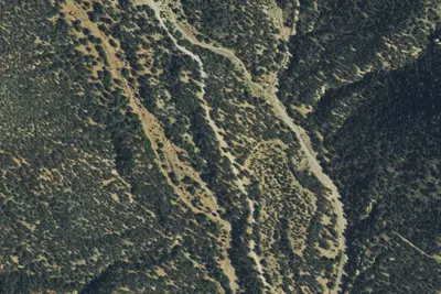 Camp site