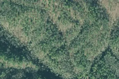 Bear Creek Dispersed Camping Area