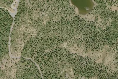 Camp site