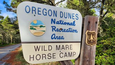 Wild Mare Horse Camp