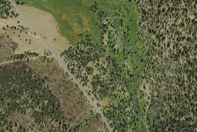 Primitive Camping Area
