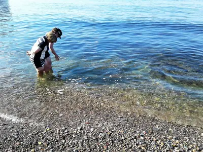 Anse du Nord, Perce - 11