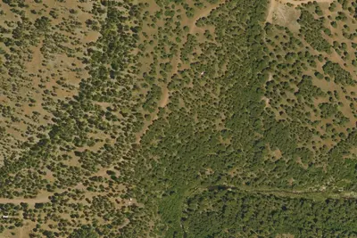 Pumphouse Wash (FR 237) Dispersed Camping Area