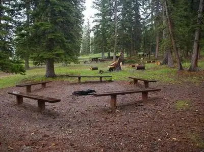 Iron Springs Group Ashley