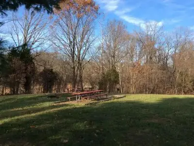 A picnic table under autumn leaved-trees and a blue sky