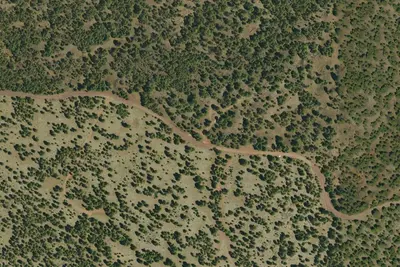 Camp site