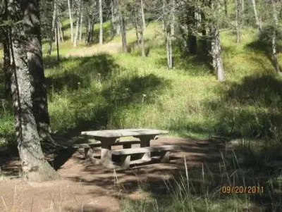 Cabin Creek campsite surrounded by pine trees, picnic table & fire ring