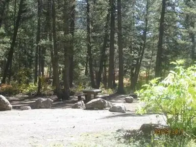 Campsite surrounded by pine trees,  picnic table & fire ring