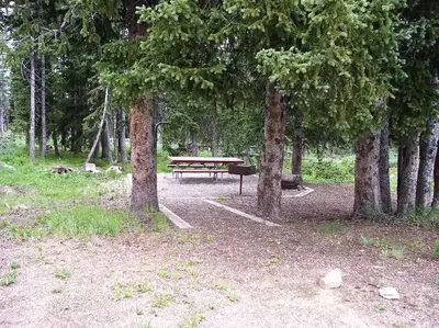 Bald Mountain Site 11