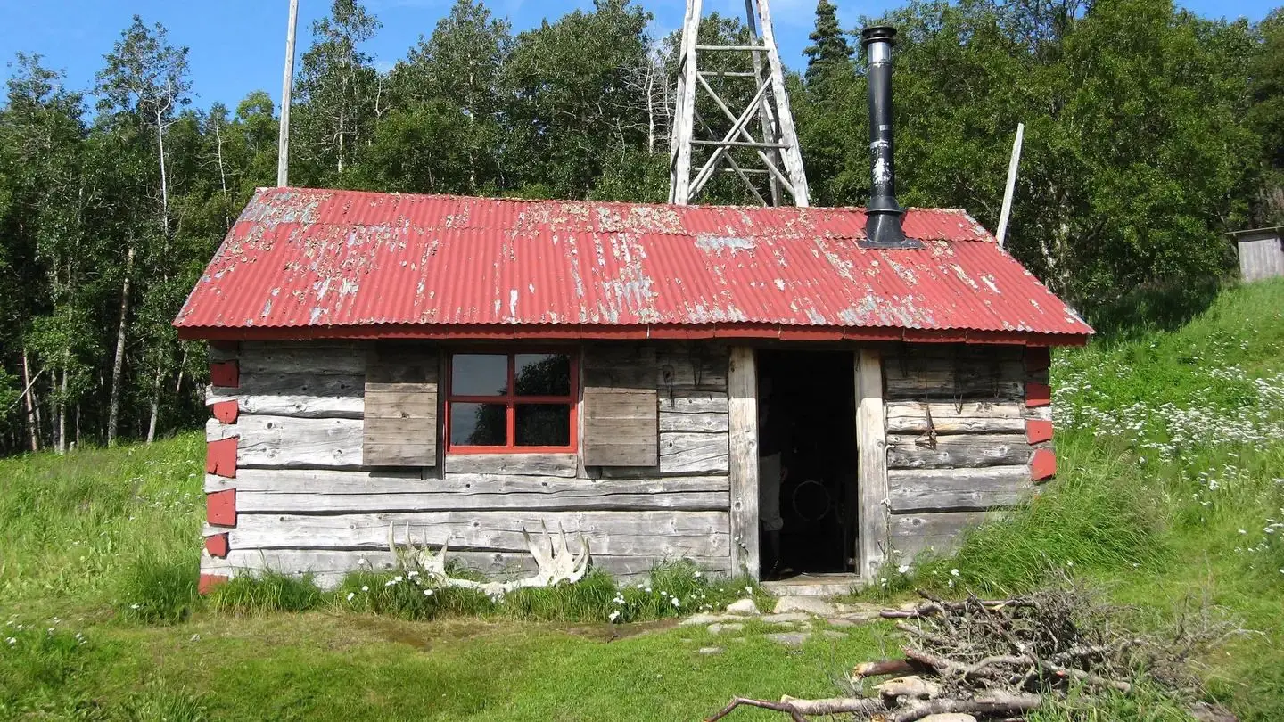 A rustic wood cabin with a red roof surrounded by trees and grass