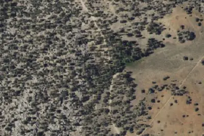 Camp site