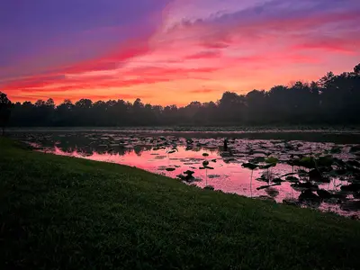 Sunset at Adams Lake