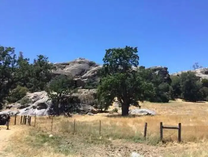 Memorial Campground