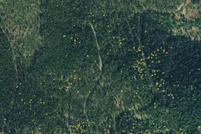Rd 2360 Site 6