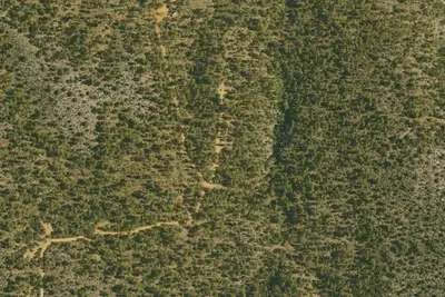 Site 8