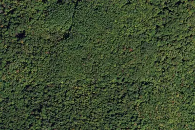 Camp site (New York State Department of Environmental Conservation)