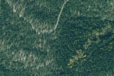 Rd 4770 Site 1