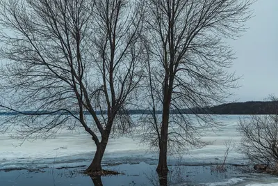 Albert Lea Lake - Spring Melt Flooding at Myre-Big Island State Park (47446709632)