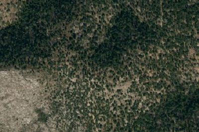 Pine Top Wilderness Campground