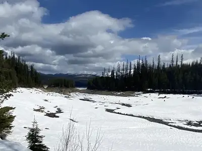 The view looking west from Lost Johnny campground