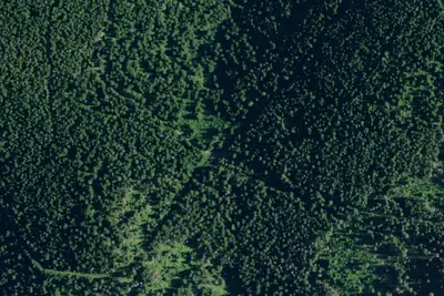 Rd 261 Site 1