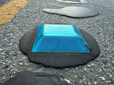 2025-08-09 07 32 05 A blue raised pavement marker along Bear Creek Road in Boulder Creek, Santa Cruz County, California