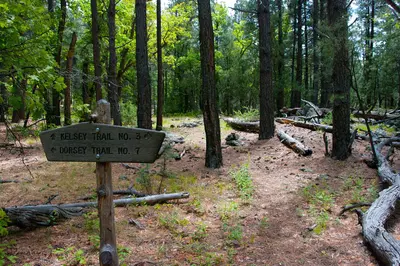 Kelsey Trail No. 3 - 18151643445