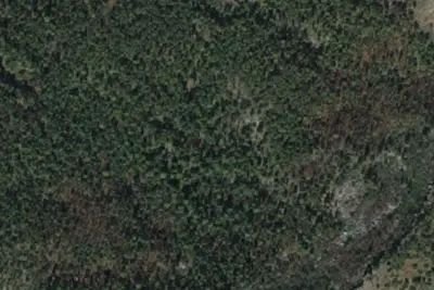 Camp site