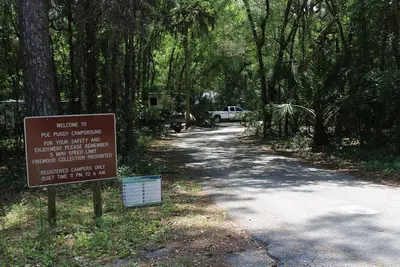 Paynes Prairie State Preserve Puc Puggy Campground