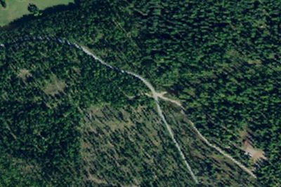 Patrick Creek Dispersed Site 4