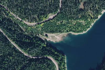 Forest Dispersed Camp Southeast